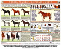 Комплект плакатов "Служебное коневодство" - fgospostavki.ru - Чита