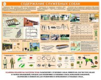 Комплект плакатов "Кинология" - fgospostavki.ru - Чита