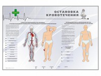 Электрифицированный стенд "Остановка кровотечения" - fgospostavki.ru - Чита