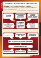 Комплект таблиц. ОБЖ. Здоровый образ жизни. - fgospostavki.ru - Чита