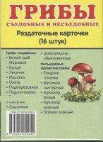 Раздаточные карточки "Грибы съедобные и не съедобные" - fgospostavki.ru - Чита