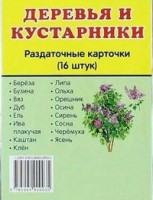 Раздаточные карточки "Деревья и кустарники" - fgospostavki.ru - Чита
