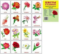 Раздаточные карточки "Цветы садовые" - fgospostavki.ru - Чита