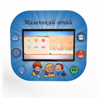 Профессиональный интерактивный развивающий комплекс «Маленький Гений» - fgospostavki.ru - Чита