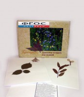 Гербарий "Дикорастущие растения" (28 видов) - fgospostavki.ru - Чита