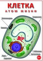 DVD "Клетка - "атом жизни" - fgospostavki.ru - Чита