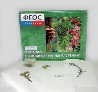 Гербарий "Основные группы растений" (52 листа) - fgospostavki.ru - Чита