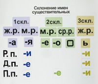 Набор магнитных карточек "Склонение имен существительных" - fgospostavki.ru - Чита