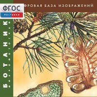 Ботаника. Микрофотографии. (Цифровая база изображений) - fgospostavki.ru - Чита