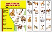 Демонстрационные карточки "Домашние животные" - fgospostavki.ru - Чита