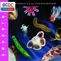 Биология. Микрофотографии. (Цифровая база изображений) - fgospostavki.ru - Чита
