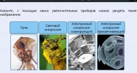 Интерактивные курсы. Биология 5 класс. Расширенный - fgospostavki.ru - Чита