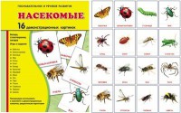 Демонстрационные карточки "Насекомые" - fgospostavki.ru - Чита