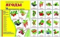 Демонстрационные карточки "Ягоды" - fgospostavki.ru - Чита