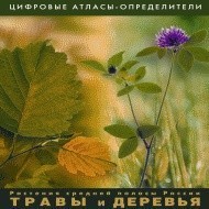 Растения средней полосы России "Травы и Деревья". (Цифровые атласы-определители) - fgospostavki.ru - Чита