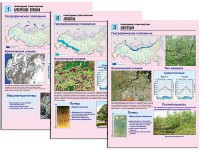 Комплект таблиц по географии "Природные зоны России" раздаточные (цветные, ламинированные, А4, 10 штук) - fgospostavki.ru - Чита