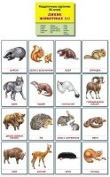 Раздаточные карточки "Дикие животные (1)" - fgospostavki.ru - Чита
