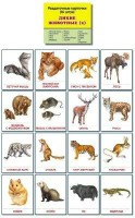 Раздаточные карточки "Дикие животные (2)" - fgospostavki.ru - Чита