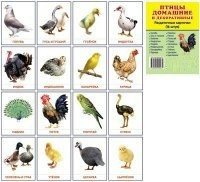 Раздаточные карточки "Птицы домашние и декоративные" - fgospostavki.ru - Чита