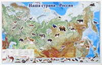 Магнитные карточки "Животные" - fgospostavki.ru - Чита