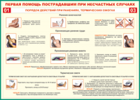 Таблица "Порядок действий при ранениях и термических ожогах" (100х140 сантиметров, винил) - fgospostavki.ru - Чита