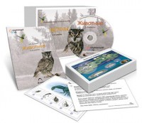 Комбинированное наглядное пособие «Животные» - fgospostavki.ru - Чита