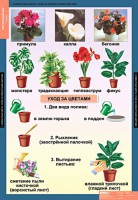 Комплект таблиц. Окружающий мир 1 класс. - fgospostavki.ru - Чита