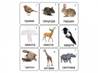 Набор магнитных карточек по музыке "Животные" (9 штук) - fgospostavki.ru - Чита