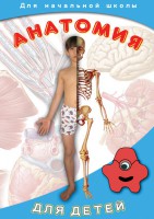 DVD "Анатомия для детей" - fgospostavki.ru - Чита