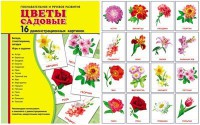 Демонстрационные карточки "Цветы садовые" - fgospostavki.ru - Чита