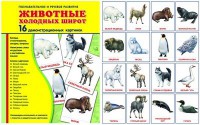 Демонстрационные карточки "Животные холодных широт" - fgospostavki.ru - Чита