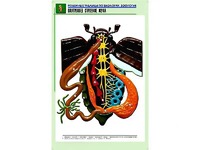 Рельефная таблица "Внутреннее строение жука" (формат А1, матовое ламинирование) - fgospostavki.ru - Чита