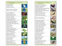 Комплект карточек (10) "Обучающий калейдоскоп. Природа" - fgospostavki.ru - Чита
