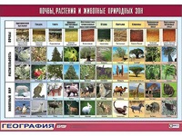 Таблица демонстрационная "Почвы, растения и животные природных зон" (винил 70*100) - fgospostavki.ru - Чита