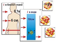 Модель-аппликация "Явление радиоактивности" (ламинированная) - fgospostavki.ru - Чита