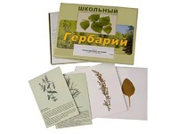 Гербарий "Лекарственные растения" (22 вида с иллюстрациями) - fgospostavki.ru - Чита