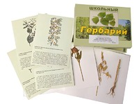 Гербарий "Систематика растений. Семейство Бобовые. Злаки" (раздаточный) - fgospostavki.ru - Чита