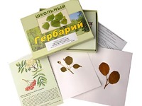 Гербарий "Систематика растений. Семейство Розоцветные" (раздаточный) - fgospostavki.ru - Чита