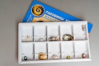 Коллекция "Раковины моллюсков" - fgospostavki.ru - Чита