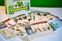Гербарий к курсу основ общей биологии - fgospostavki.ru - Чита