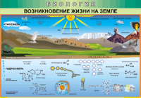 Таблица "Возникновение жизни на земле" (100х140 сантиметров, винил) - fgospostavki.ru - Чита