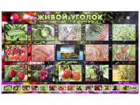 Комплект оборудования "Живой уголок" (растения) с тифлопереводом и сурдокомментариями - fgospostavki.ru - Чита