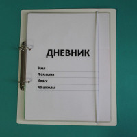 Дневник школьника (с полным набором карточек) - fgospostavki.ru - Чита