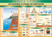 Таблица "Организмы и среды их обитания" (100х140 сантиметров, винил) - fgospostavki.ru - Чита