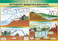 Таблица "Круговорот веществ в биосфере" (100х140 сантиметров, винил) - fgospostavki.ru - Чита
