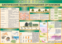 Таблица "Биотические взаимоотношения организмов" (100х140 сантиметров, винил) - fgospostavki.ru - Чита