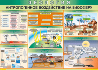 Таблица "Антропогенное воздействие на биосферу" (100х140 сантиметров, винил) - fgospostavki.ru - Чита