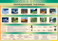 Таблица "Экология. Обобщающие таблицы" (100х140 сантиметров, винил) - fgospostavki.ru - Чита