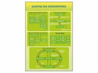 Стенды "Схемы по экономике" - fgospostavki.ru - Чита