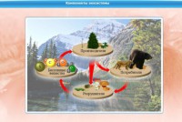 Интерактивные курсы. Биология 7 класс. Базовый. - fgospostavki.ru - Чита